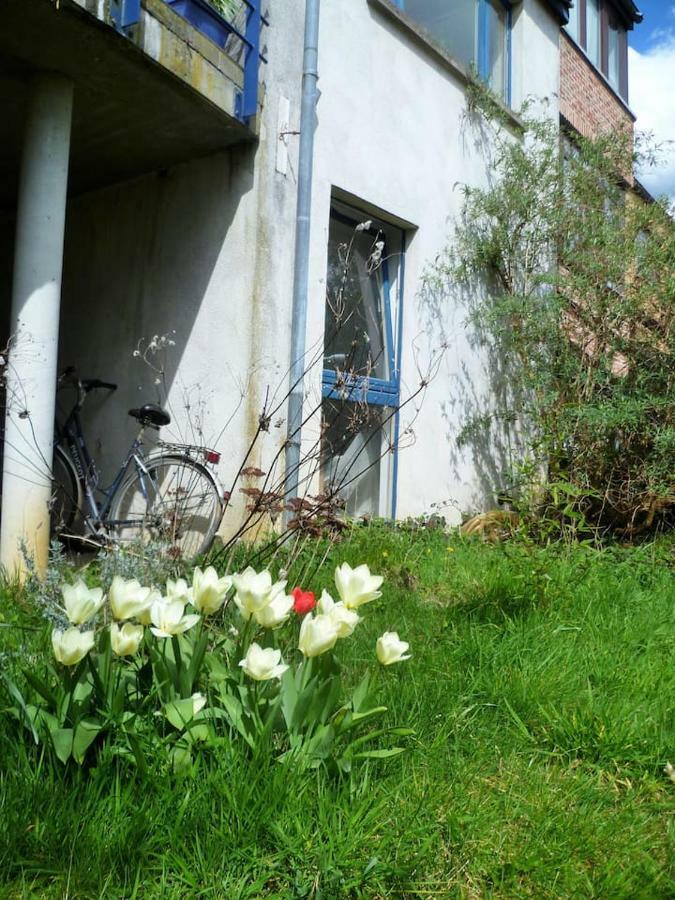 Appartement 2 Chambres Au Calme Et Au Vert, A Louvain-La-Neuve Exteriér fotografie